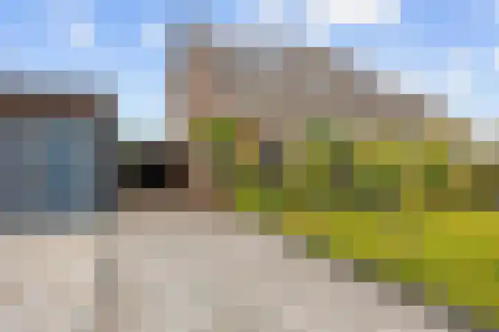 Meseame 8 Berltsum