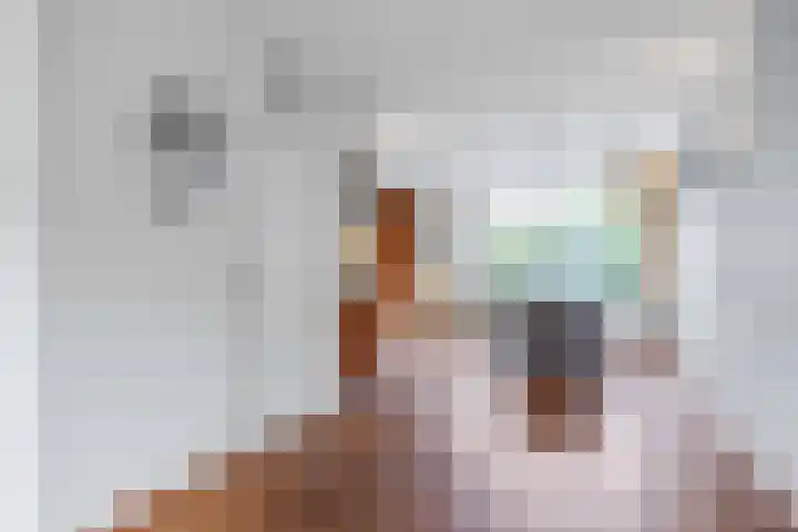 Meseame 8 Berltsum thumbnail 15