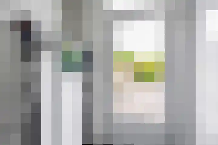 Meseame 8 Berltsum thumbnail 22