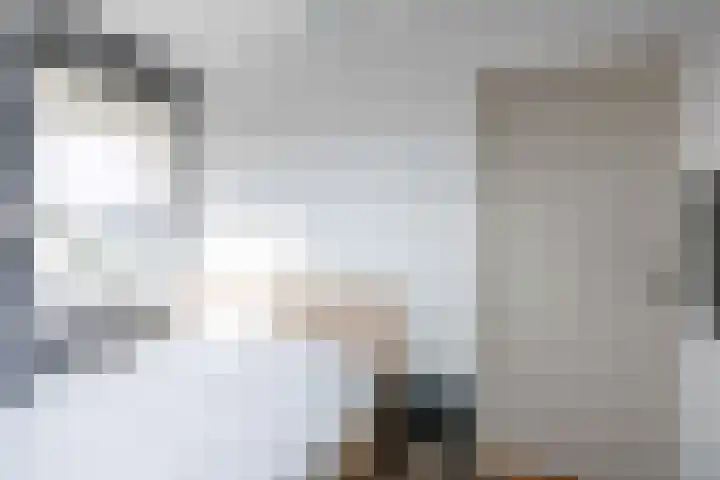 Meseame 8 Berltsum thumbnail 27