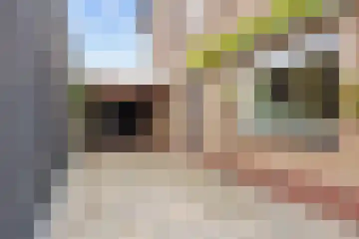 Meseame 8 Berltsum thumbnail 4