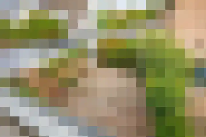 Meseame 8 Berltsum thumbnail 41