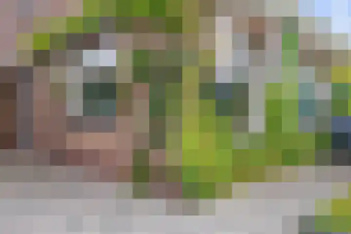 Meseame 8 Berltsum thumbnail 42