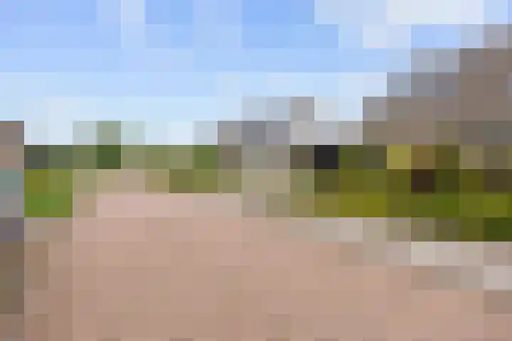 Meseame 8 Berltsum thumbnail 47