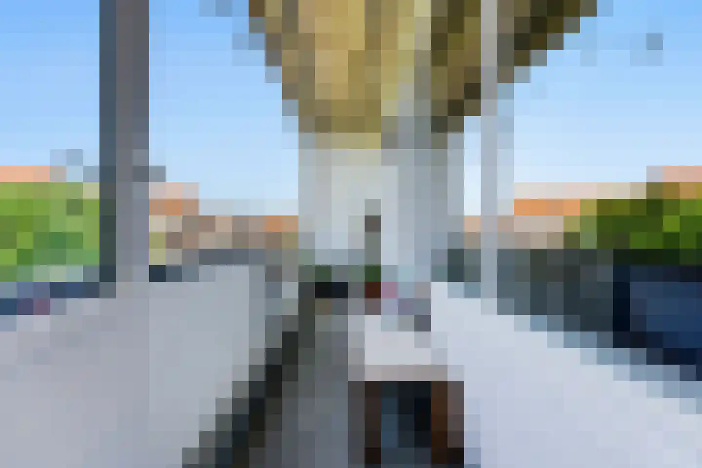 Messchaertplein 23 Vlaardingen thumbnail 11