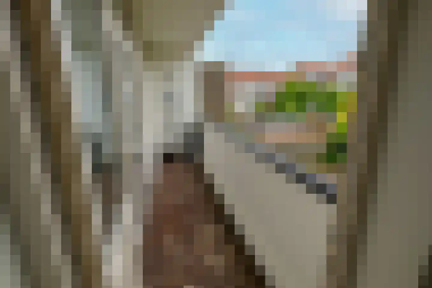 Messchaertplein 37 Vlaardingen thumbnail 13