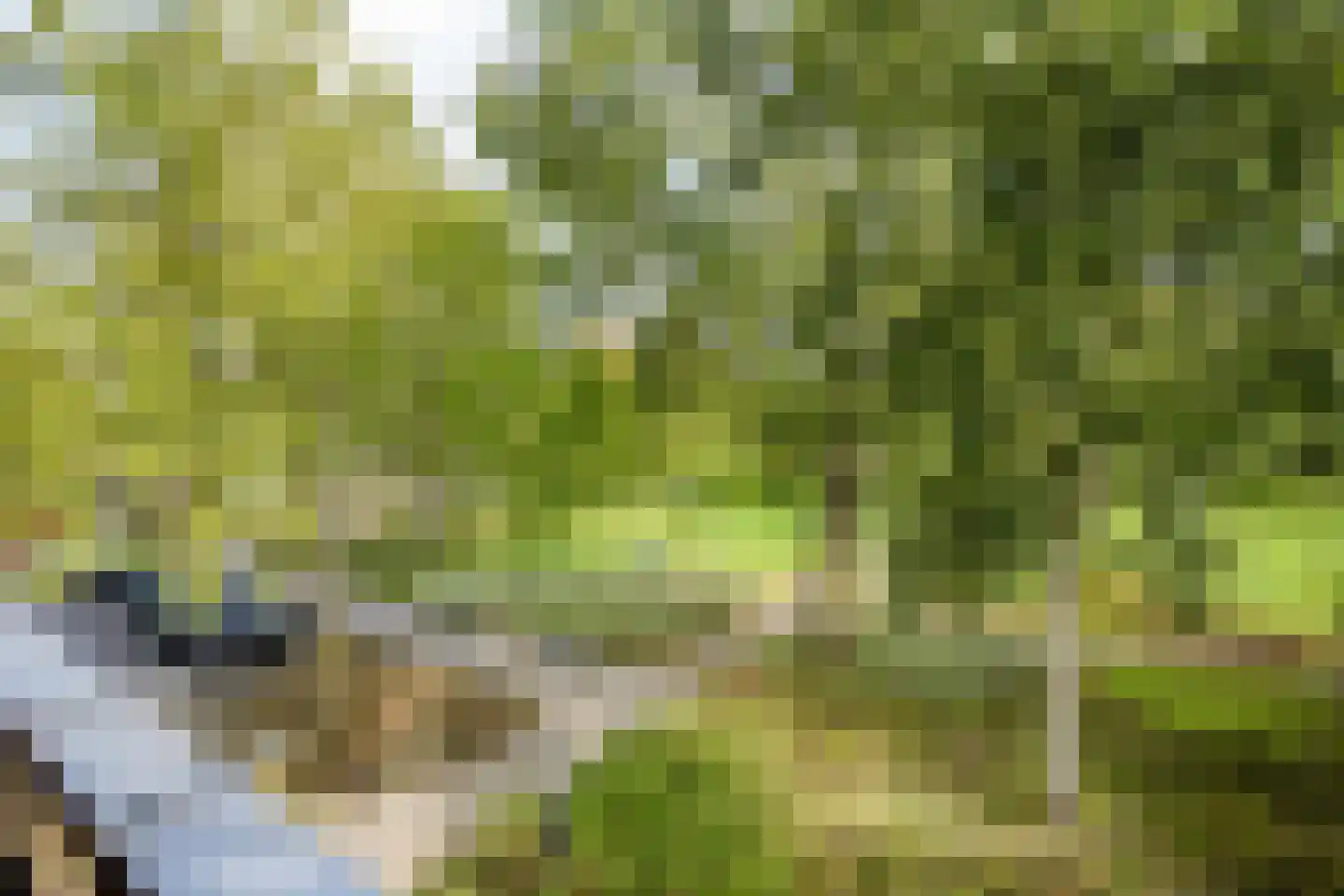 Messiaenplantsoen 39 Almere thumbnail 13
