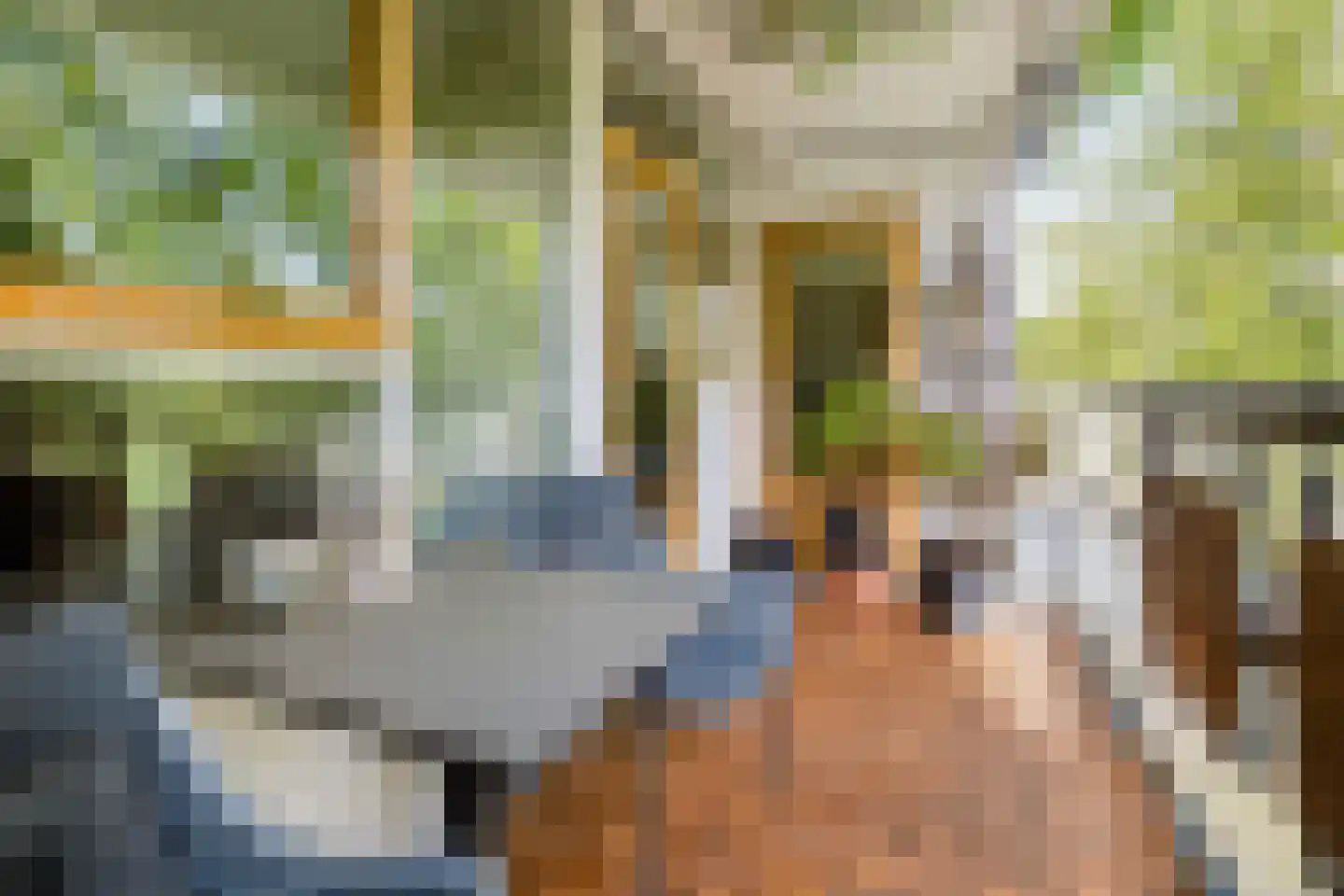 Messiaenplantsoen 39 Almere thumbnail 6