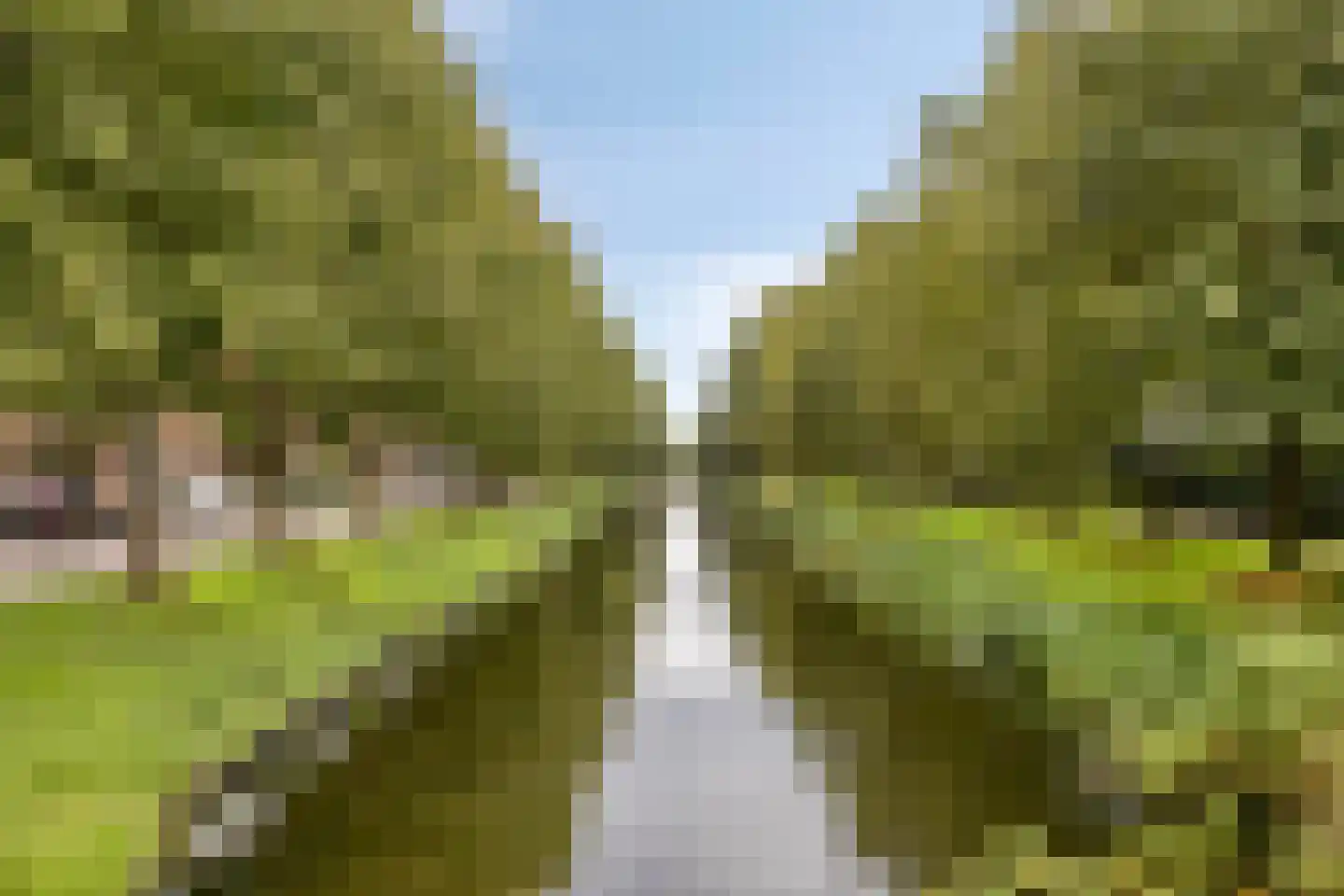 Messing 49 Hoorn thumbnail 27