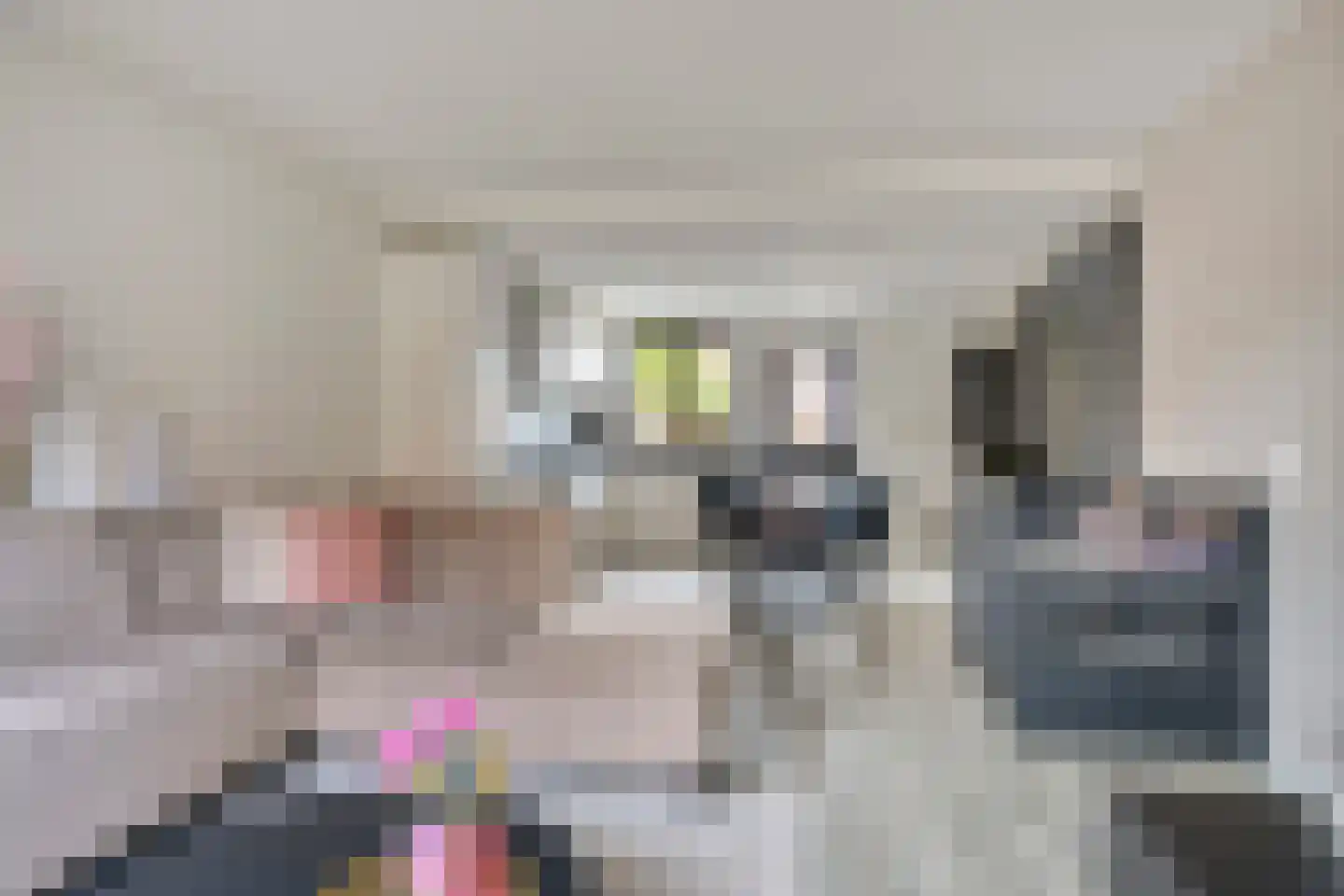 Messing 49 Hoorn thumbnail 7