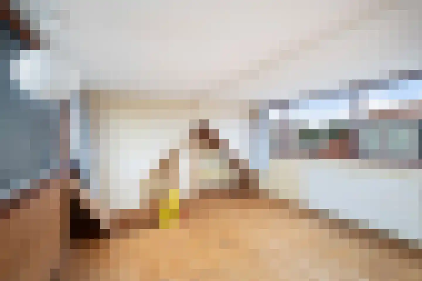 Messstraat 46 Den Haag thumbnail 31