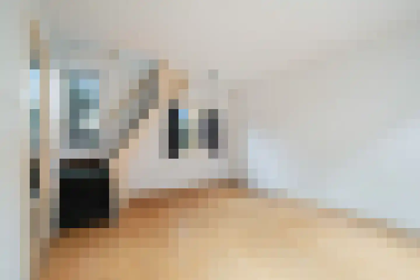 Messstraat 46 Den Haag thumbnail 7