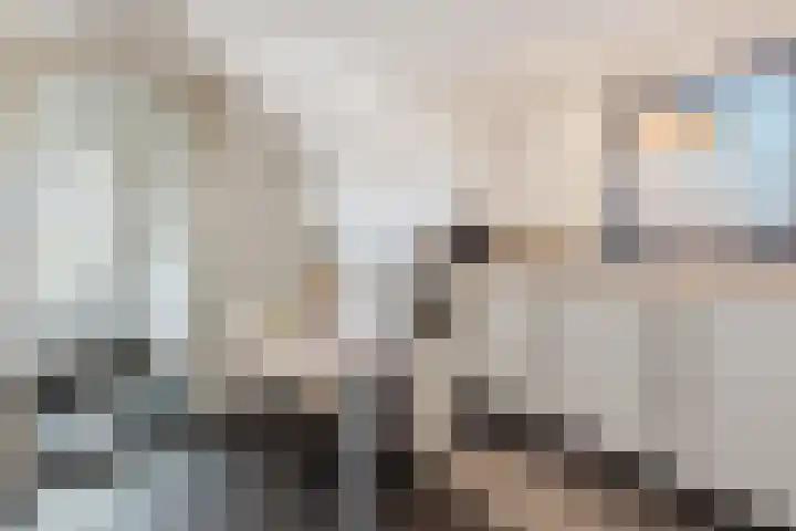 Mesweg 2 Hulsberg thumbnail 23