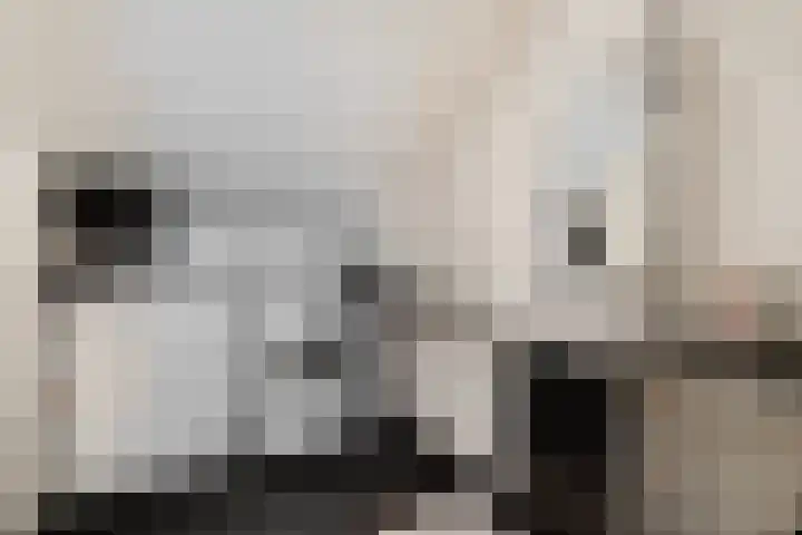Mesweg 2 Hulsberg thumbnail 24