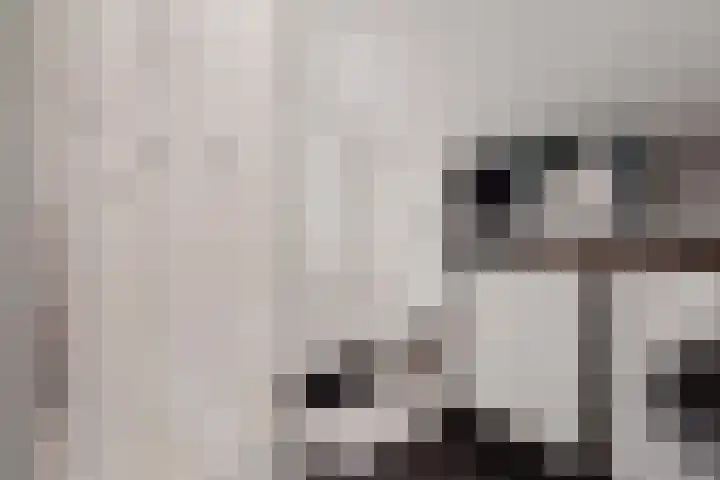 Mesweg 2 Hulsberg thumbnail 25