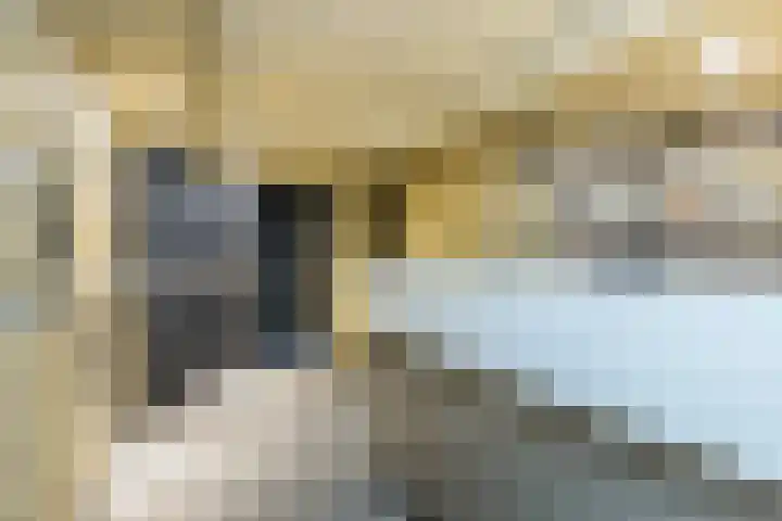 Mesweg 23 Hulsberg thumbnail 37