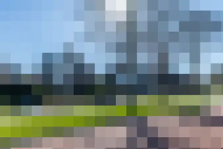 Mesweg 23 Hulsberg thumbnail 51
