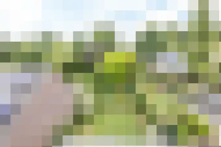 Mesweg 35 Eys thumbnail 15