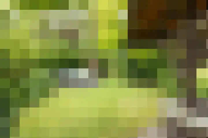 Mesweg 35 Eys thumbnail 18