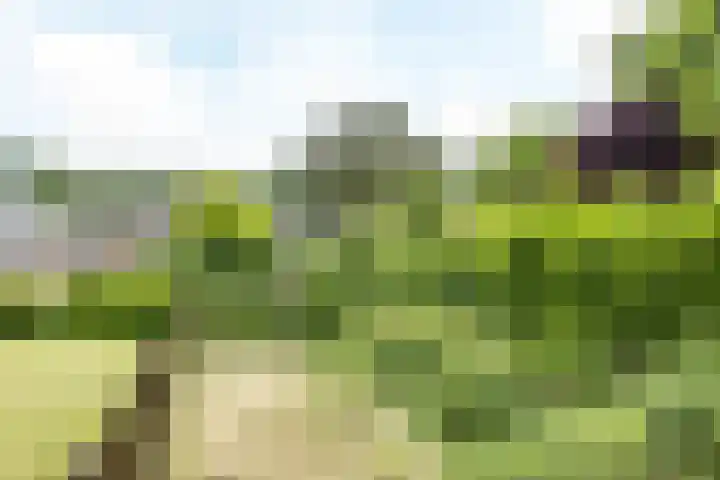 Mesweg 35 Eys thumbnail 20