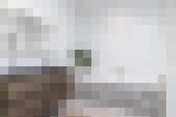 Mesweg 4 Hulsberg thumbnail 21
