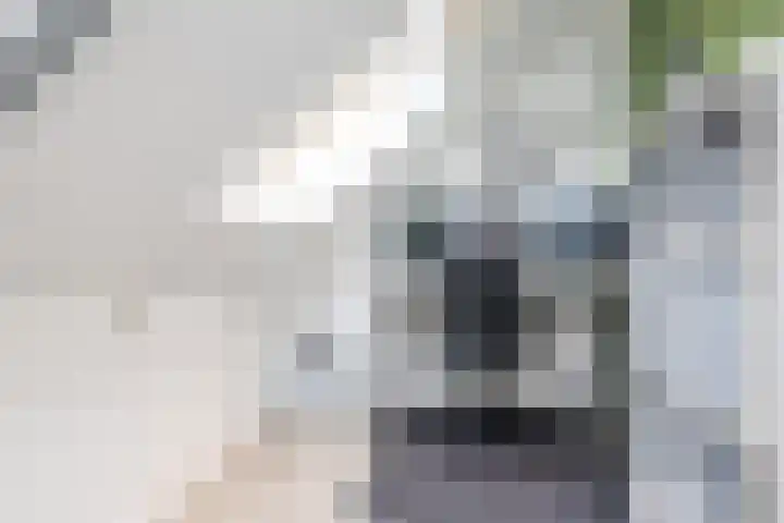 Mesweg 4 Hulsberg thumbnail 38