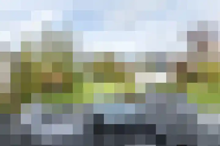 Mesweg 4 Hulsberg thumbnail 40