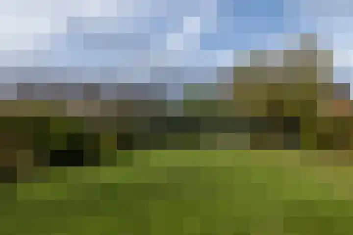 Mesweg 4 Hulsberg thumbnail 44