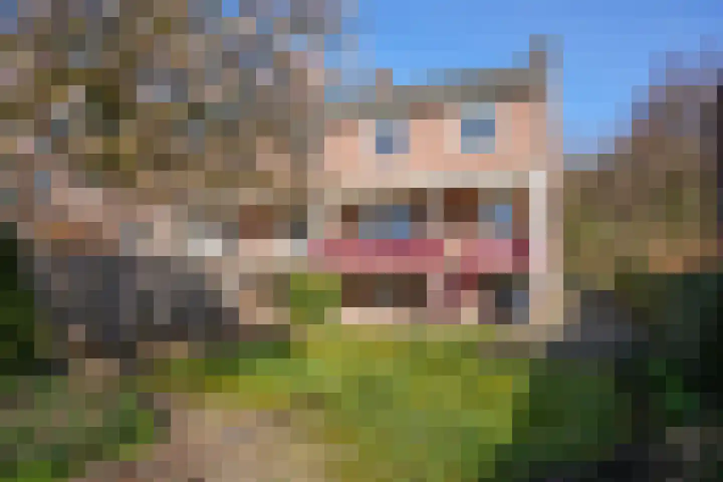Mesweg 40 Eys thumbnail 23