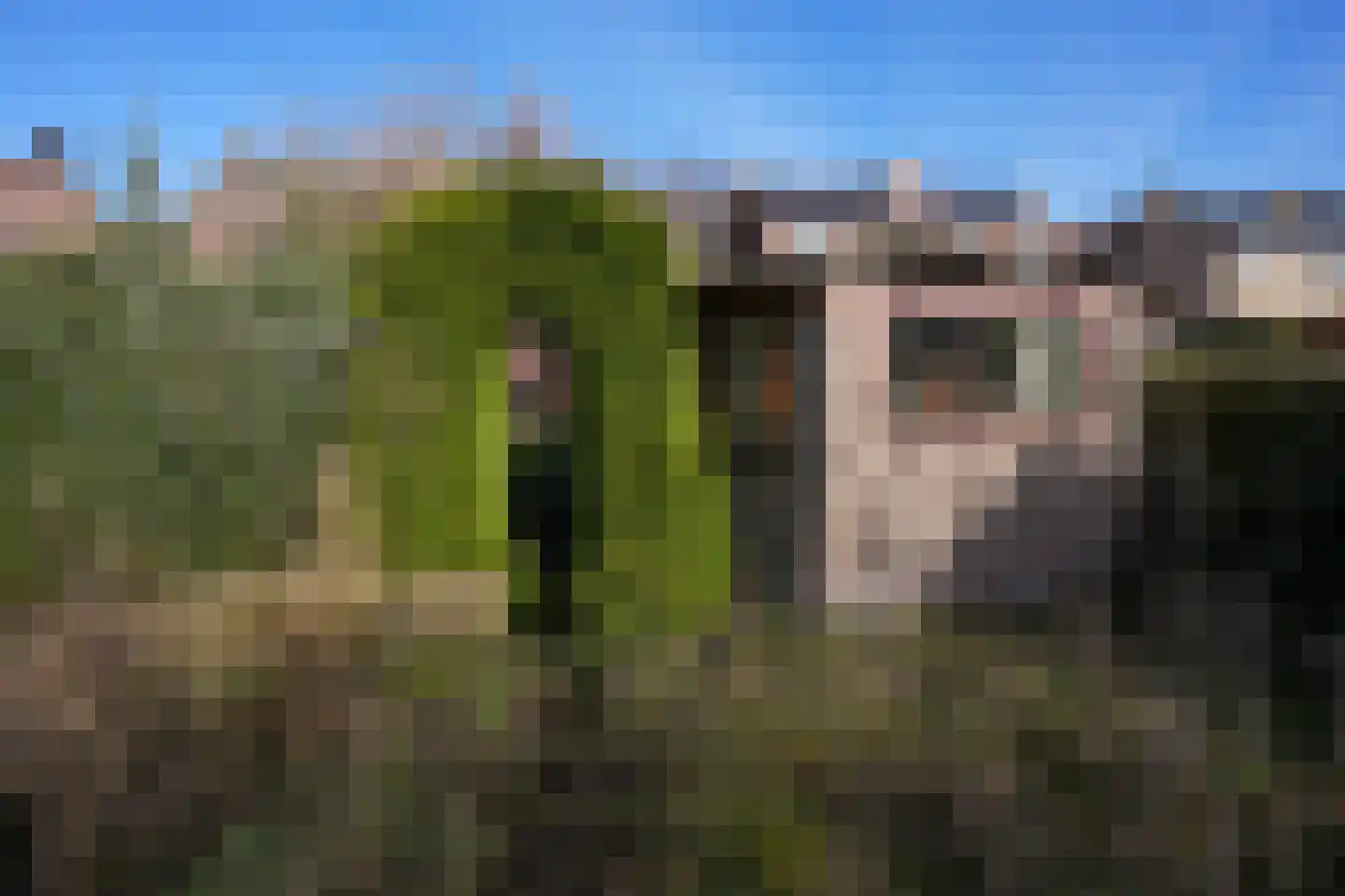 Mesweg 40 Eys thumbnail 27