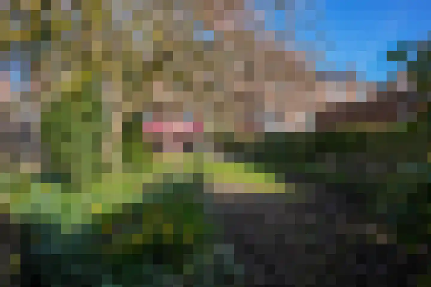 Mesweg 40 Eys thumbnail 29