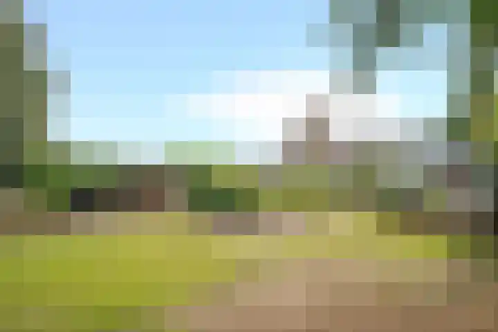 Mesweg 8 Hulsberg thumbnail 23