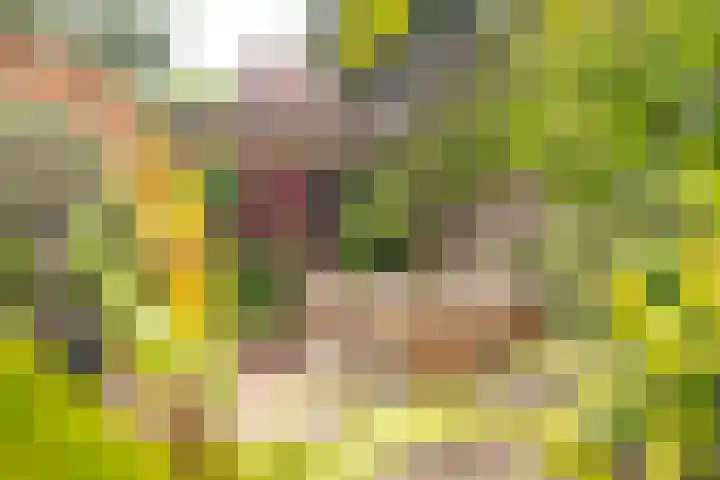 Mesweg 8 Hulsberg thumbnail 25