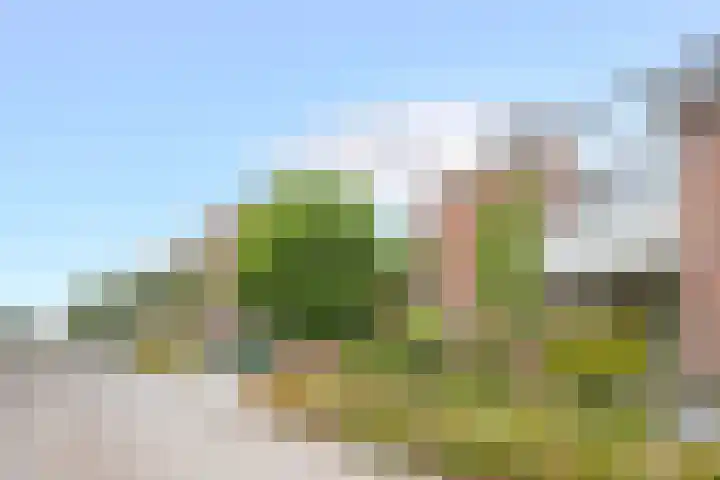 Mesweg 8 Hulsberg thumbnail 28