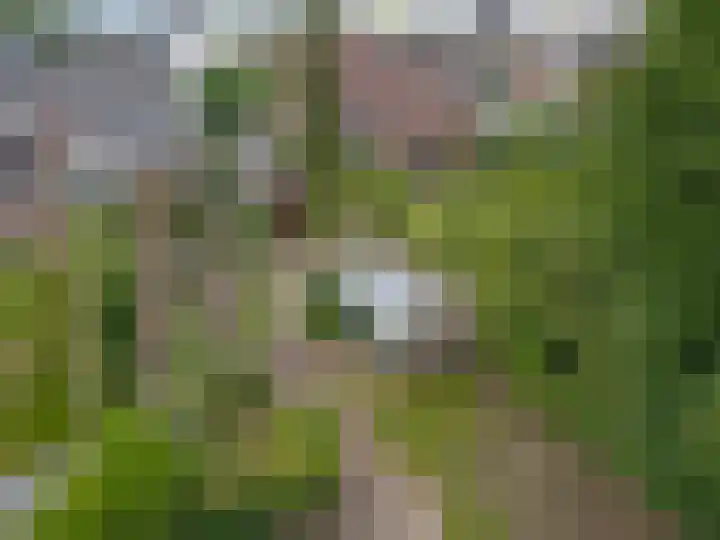 Mesweg 8 Hulsberg thumbnail 30