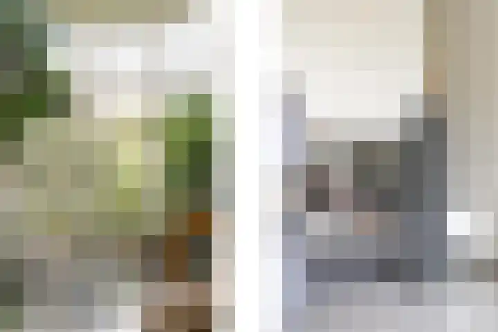 Mesweg 8 Hulsberg thumbnail 5