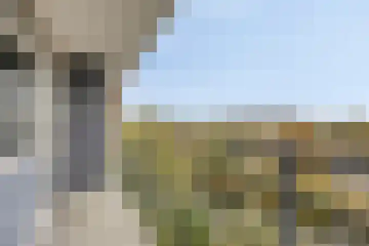 Metaallaan 139 Groningen thumbnail 11
