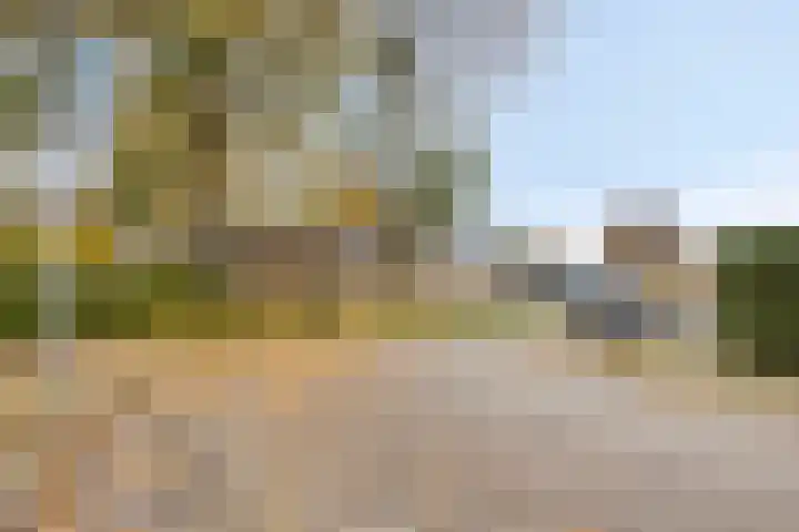 Metaallaan 139 Groningen thumbnail 23