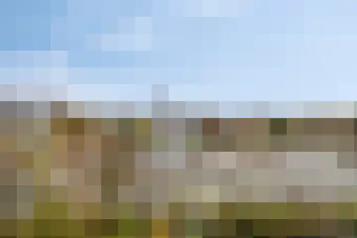 Metaallaan 139 Groningen thumbnail 4
