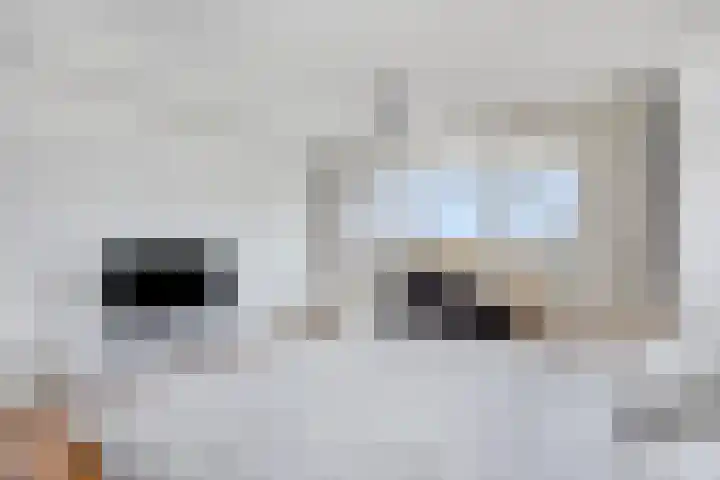 Metaallaan 139 Groningen thumbnail 9