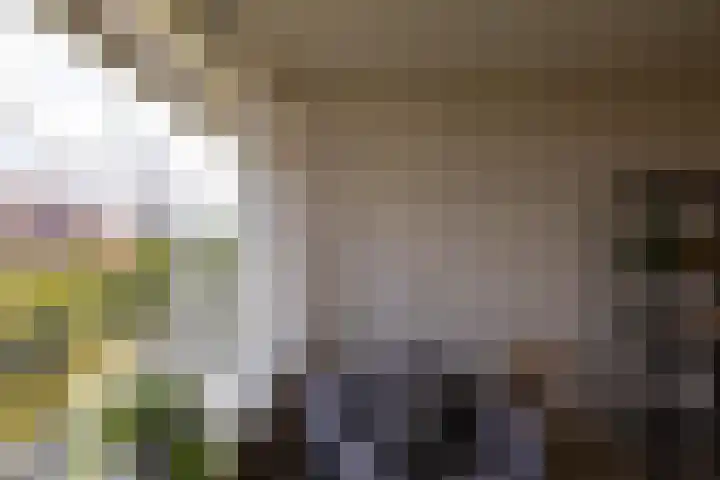 Metaallaan 145 Groningen thumbnail 14