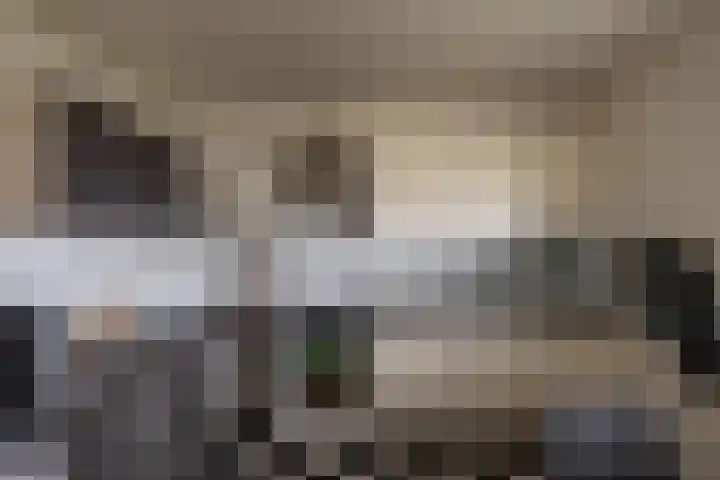 Metaallaan 145 Groningen thumbnail 16