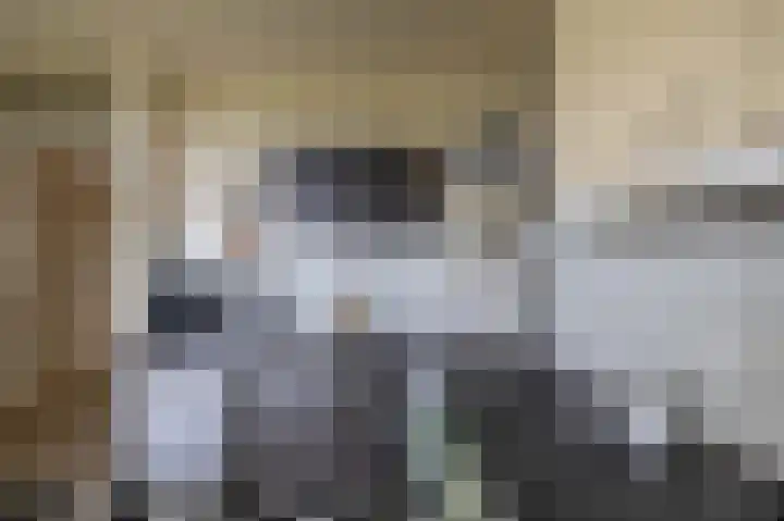 Metaallaan 145 Groningen thumbnail 18