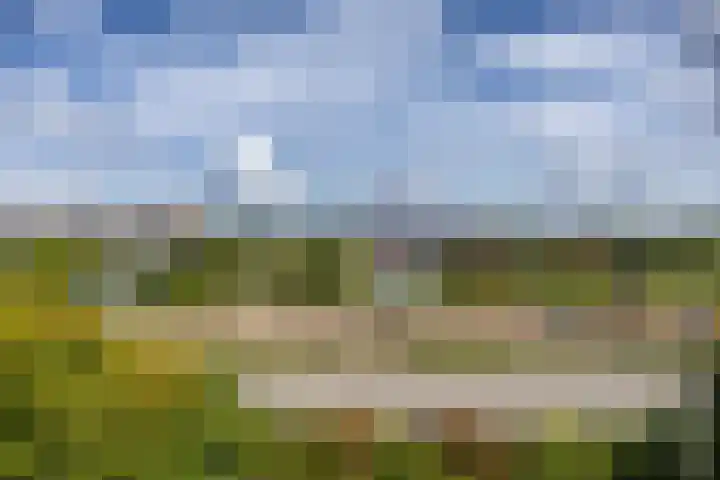 Metaallaan 145 Groningen thumbnail 28