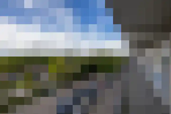 Metaallaan 145 Groningen thumbnail 5