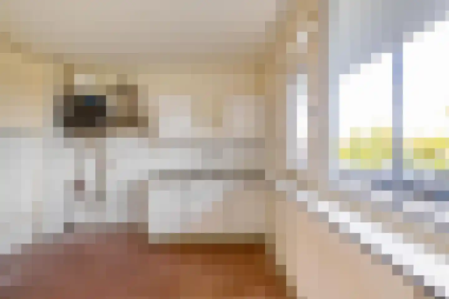 Metaallaan 15 Groningen thumbnail 11