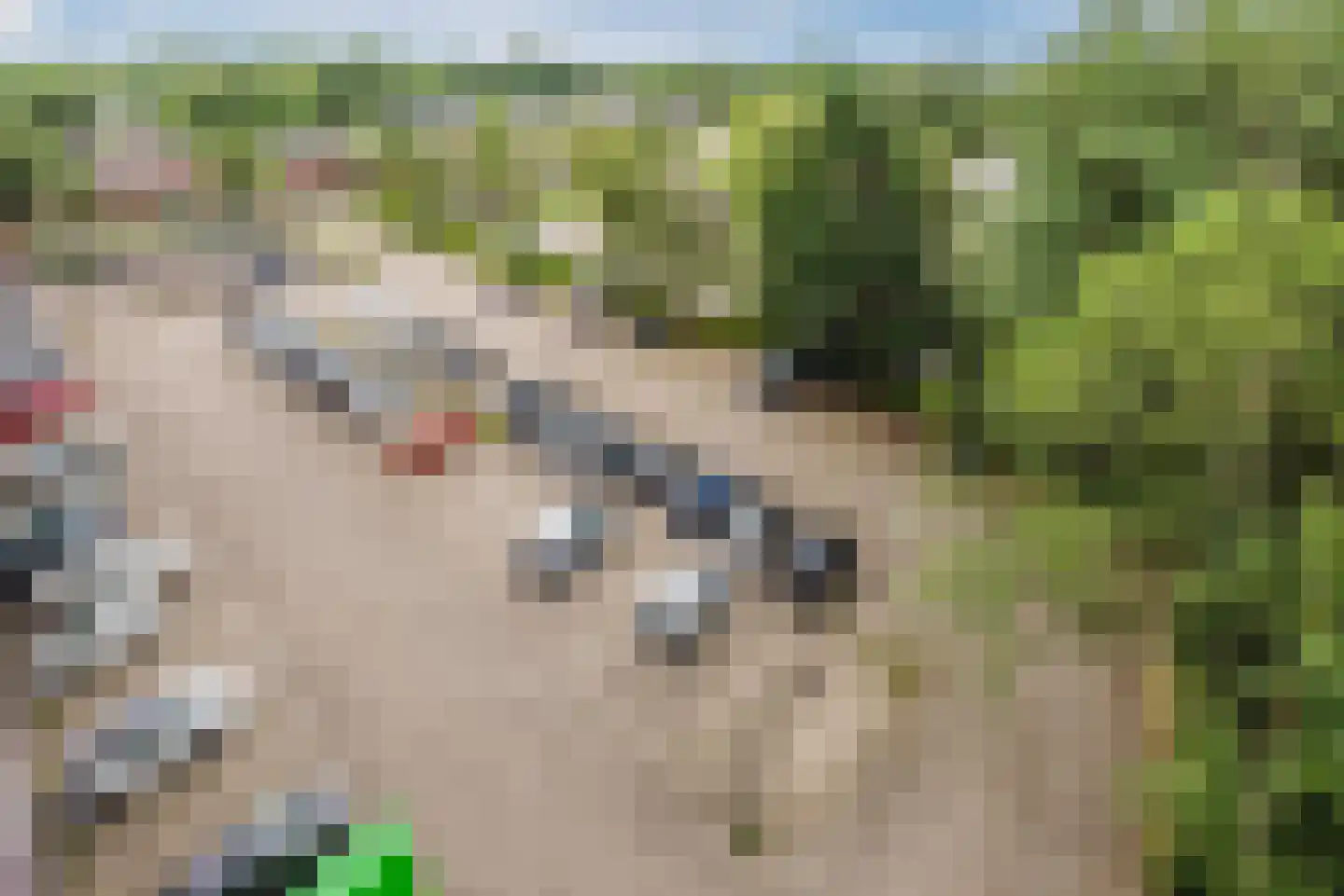 Metaallaan 153 Groningen thumbnail 26