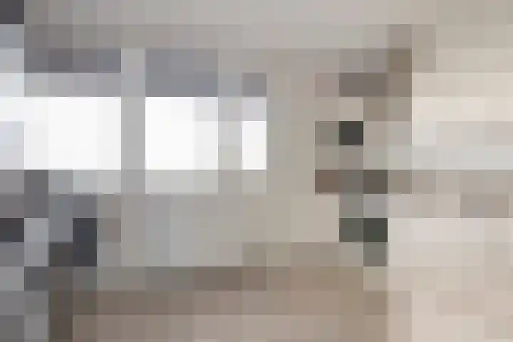 Metaallaan 211 Groningen thumbnail 17