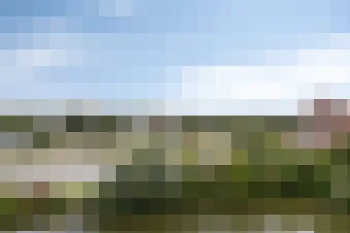 Metaallaan 211 Groningen thumbnail 23