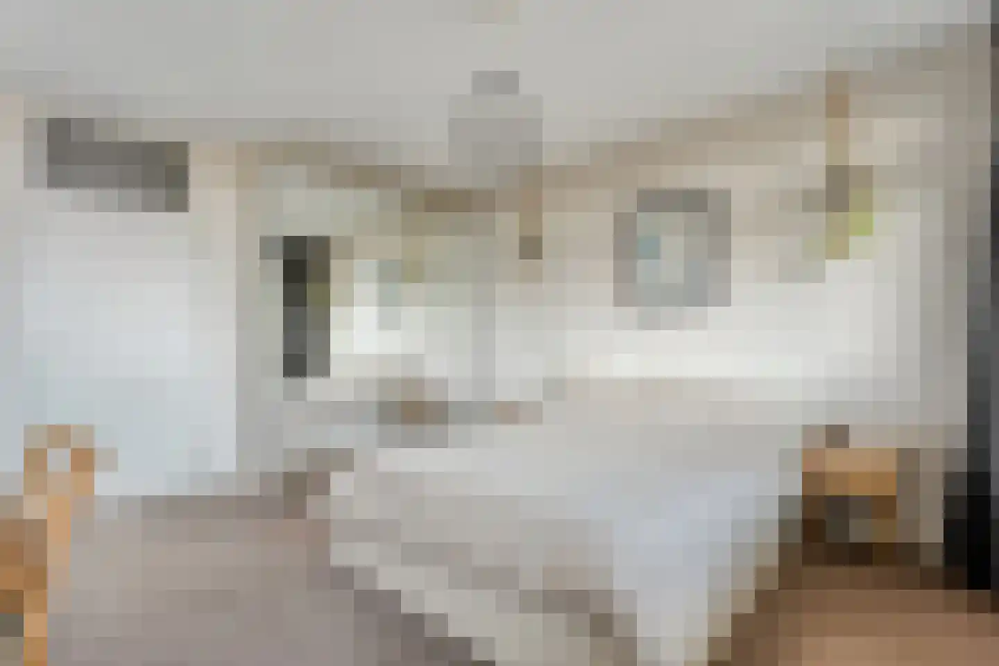 Metaallaan 215 Groningen thumbnail 33